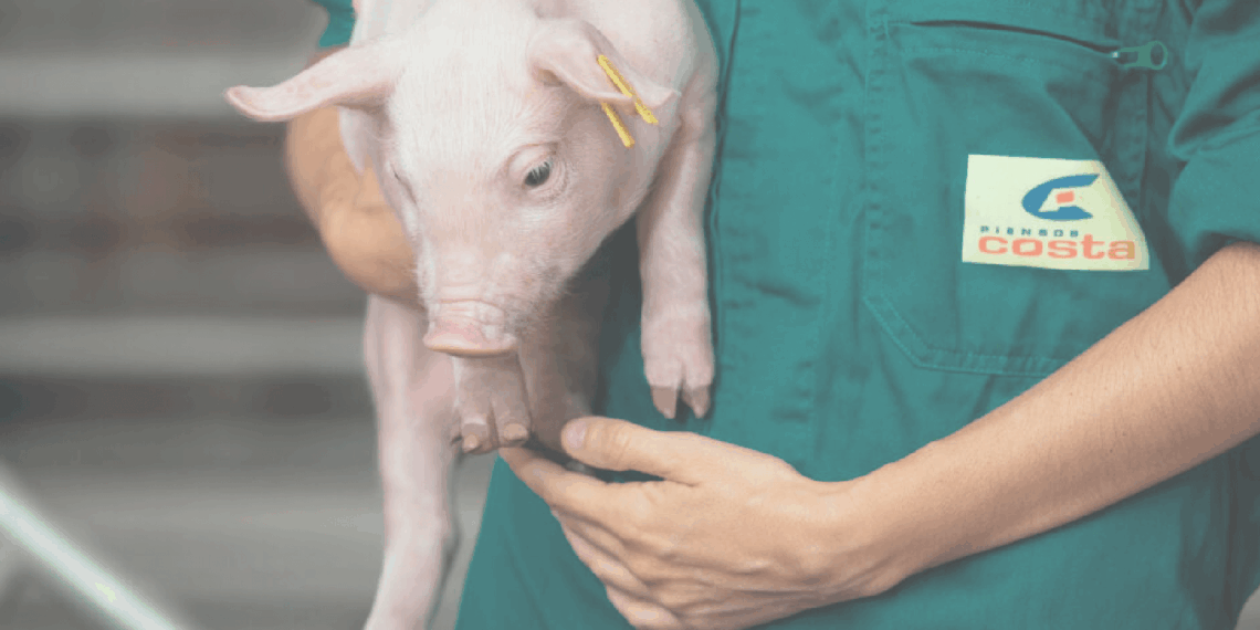 Piensos Costa optimiza su gestión financiera con Invoice Capture en Dynamics 365 FO