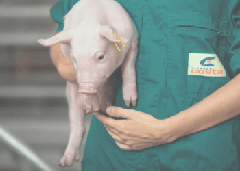 Piensos Costa optimiza su gestión financiera con Invoice Capture en Dynamics 365 FO